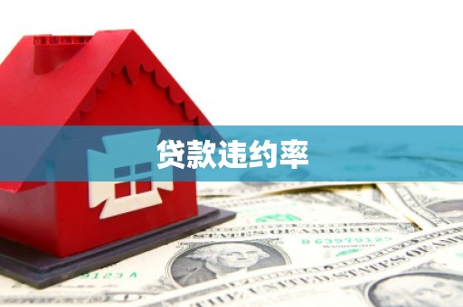 久治贷款违约率
