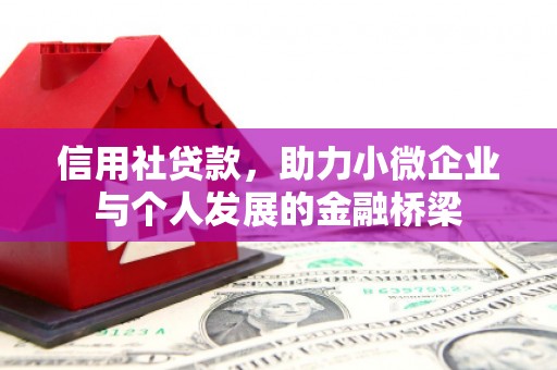 双柏信用社贷款，助力小微企业与个人发展的金融桥梁
