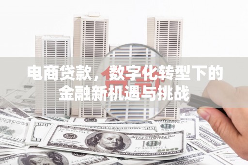 凌源电商贷款，数字化转型下的金融新机遇与挑战
