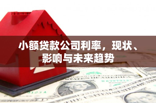 大东小额贷款公司利率，现状、影响与未来趋势