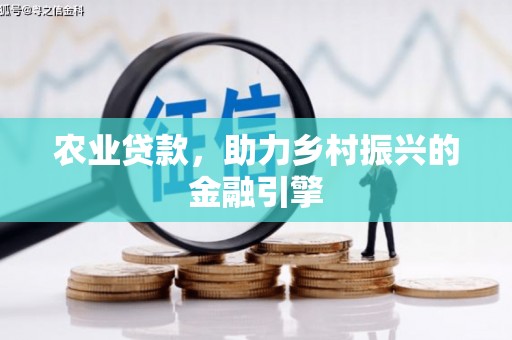 于洪农业贷款，助力乡村振兴的金融引擎