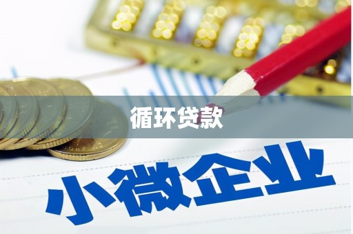宽甸循环贷款