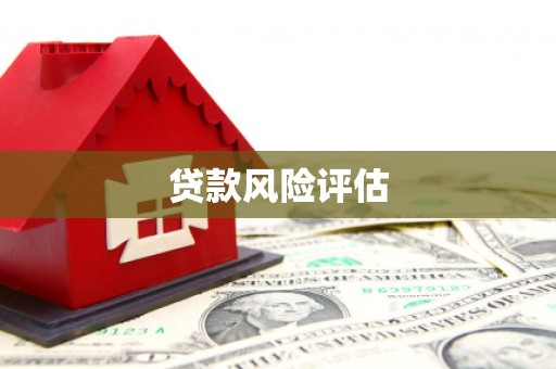 六合贷款风险评估