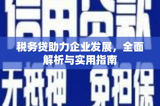 郸城税务贷助力企业发展，全面解析与实用指南
