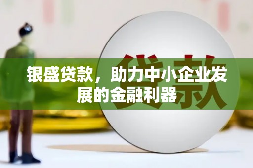 广水银盛贷款，助力中小企业发展的金融利器