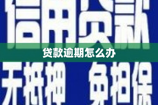 乾安贷款逾期怎么办