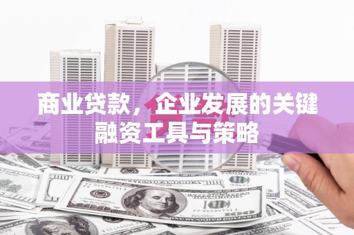 郁南商业贷款，企业发展的关键融资工具与策略