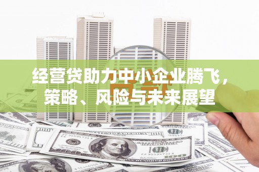 石鼓经营贷助力中小企业腾飞，策略、风险与未来展望