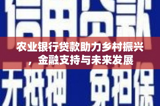虞城农业银行贷款助力乡村振兴，金融支持与未来发展