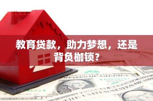 东营教育贷款，助力梦想，还是背负枷锁？