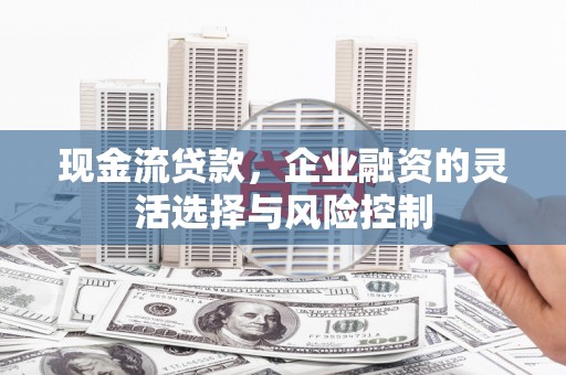 元谋现金流贷款，企业融资的灵活选择与风险控制