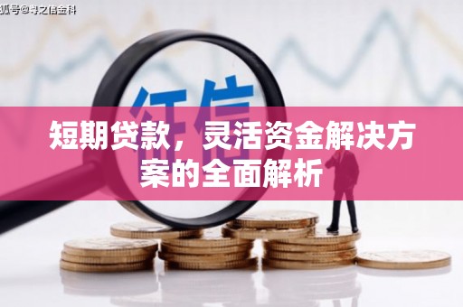 苍溪短期贷款，灵活资金解决方案的全面解析