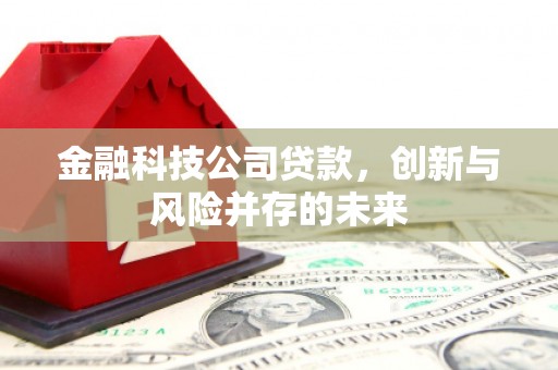 枞阳金融科技公司贷款，创新与风险并存的未来