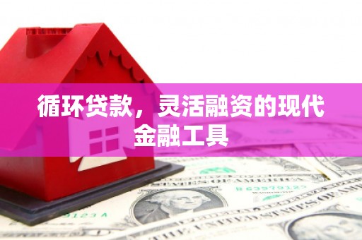 乌马河循环贷款，灵活融资的现代金融工具