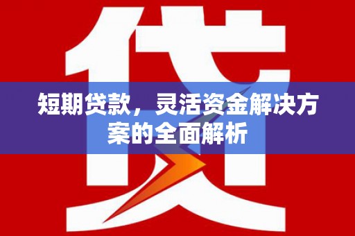 雅安短期贷款，灵活资金解决方案的全面解析