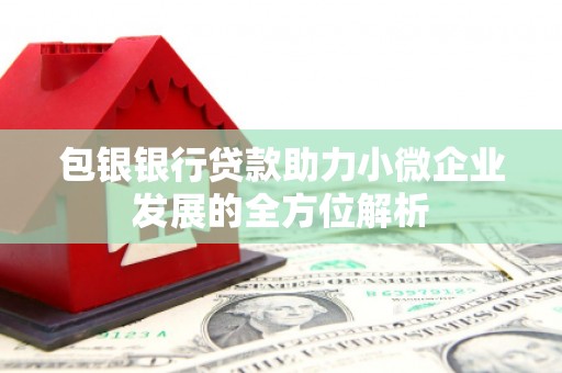 宁明包银银行贷款助力小微企业发展的全方位解析