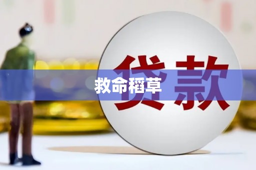 潭子救命稻草