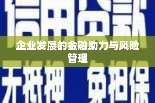 平舆企业发展的金融助力与风险管理