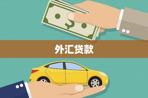 深泽外汇贷款