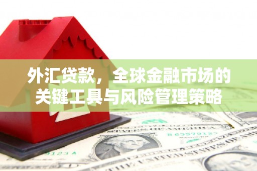 马山外汇贷款，全球金融市场的关键工具与风险管理策略