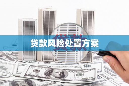 沙依巴克贷款风险处置方案
