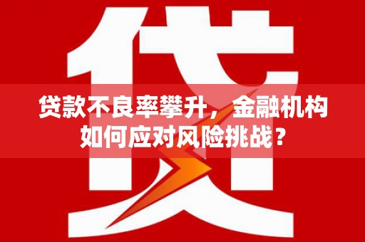 桦川贷款不良率攀升，金融机构如何应对风险挑战？