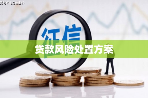 腾冲贷款风险处置方案