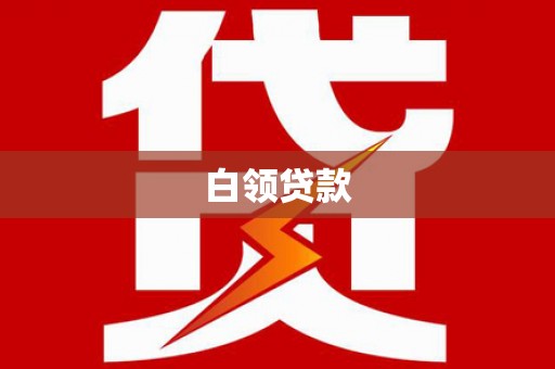 新园白领贷款