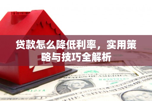 蒲城贷款怎么降低利率，实用策略与技巧全解析