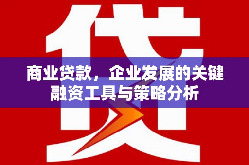 璧山商业贷款，企业发展的关键融资工具与策略分析