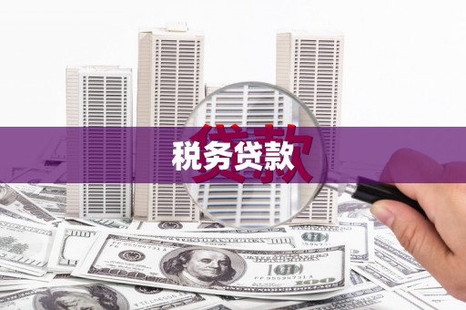 宜黄税务贷款