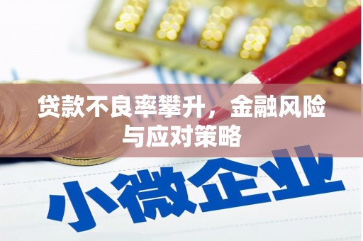 岑巩贷款不良率攀升，金融风险与应对策略