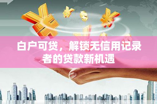 特克斯白户可贷，解锁无信用记录者的贷款新机遇