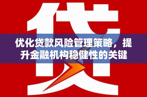广陵优化贷款风险管理策略，提升金融机构稳健性的关键