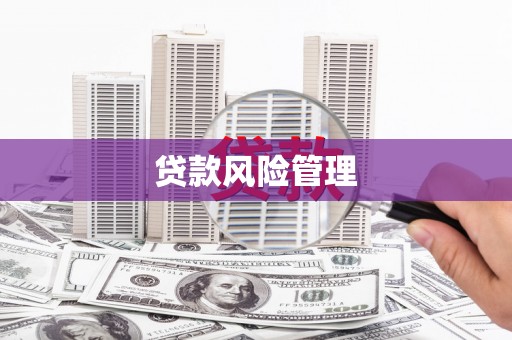 内埔贷款风险管理