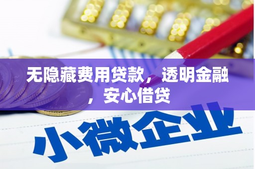 无极无隐藏费用贷款，透明金融，安心借贷