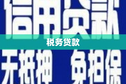 孝昌税务贷款