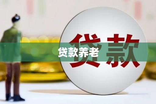 市中区贷款养老