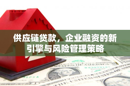 蒲城供应链贷款，企业融资的新引擎与风险管理策略