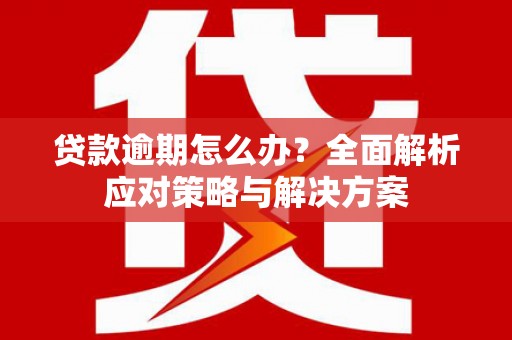 泰州贷款逾期怎么办？全面解析应对策略与解决方案
