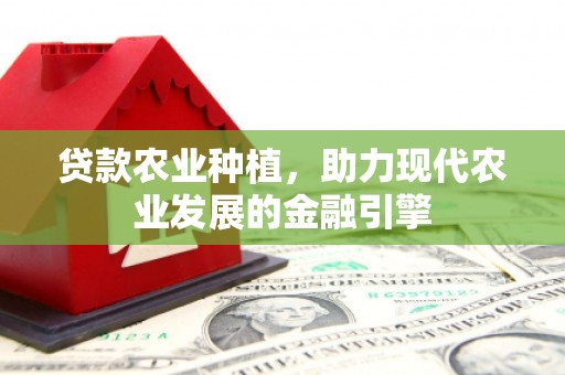 正阳贷款农业种植，助力现代农业发展的金融引擎