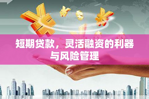 齐齐哈尔短期贷款，灵活融资的利器与风险管理