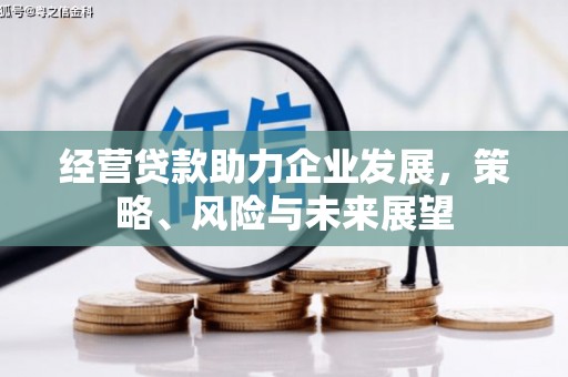石冈经营贷款助力企业发展，策略、风险与未来展望