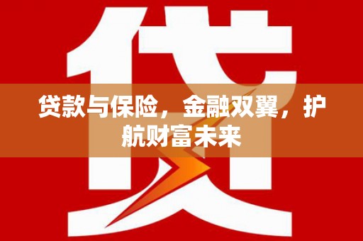 施甸贷款与保险，金融双翼，护航财富未来