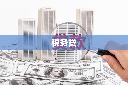 郫县税务贷