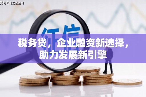 城关税务贷，企业融资新选择，助力发展新引擎
