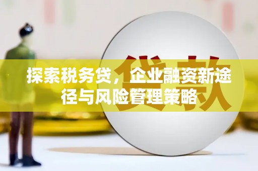 深圳探索税务贷，企业融资新途径与风险管理策略