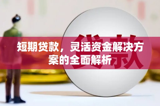 金阳短期贷款，灵活资金解决方案的全面解析