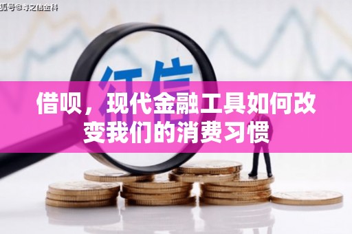 霞浦借呗，现代金融工具如何改变我们的消费习惯