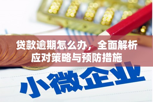 陇南贷款逾期怎么办，全面解析应对策略与预防措施